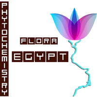 Phytochemistry of the Flora of Egypt